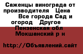 Саженцы винограда от производителя › Цена ­ 800 - Все города Сад и огород » Другое   . Пензенская обл.,Мокшанский р-н